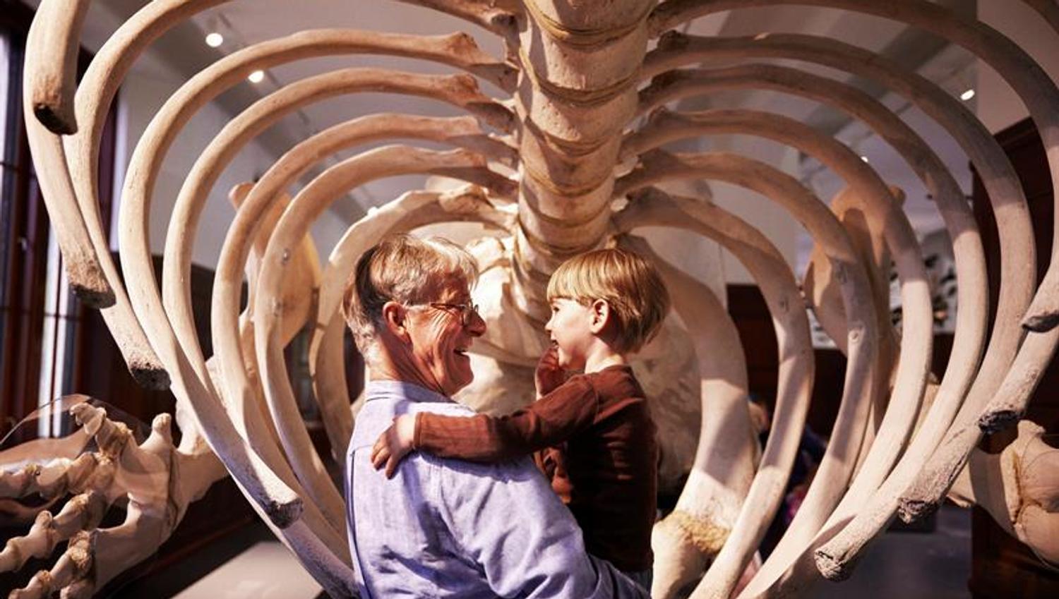 An adult holds a child while they look at a large skeleton in a museum, surrounded by rib bones.