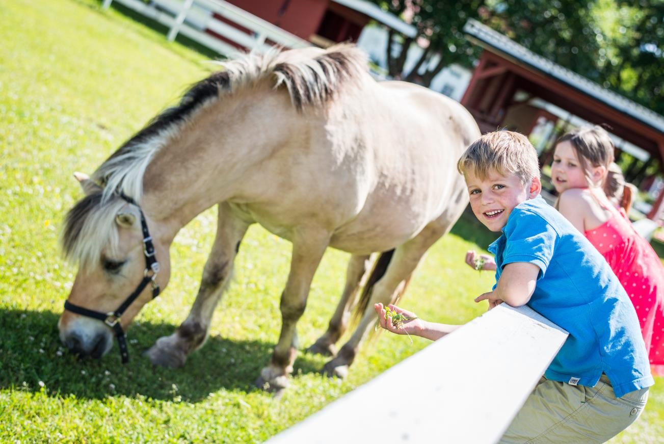 Barnas Bondegård på Hadeland Glassverk