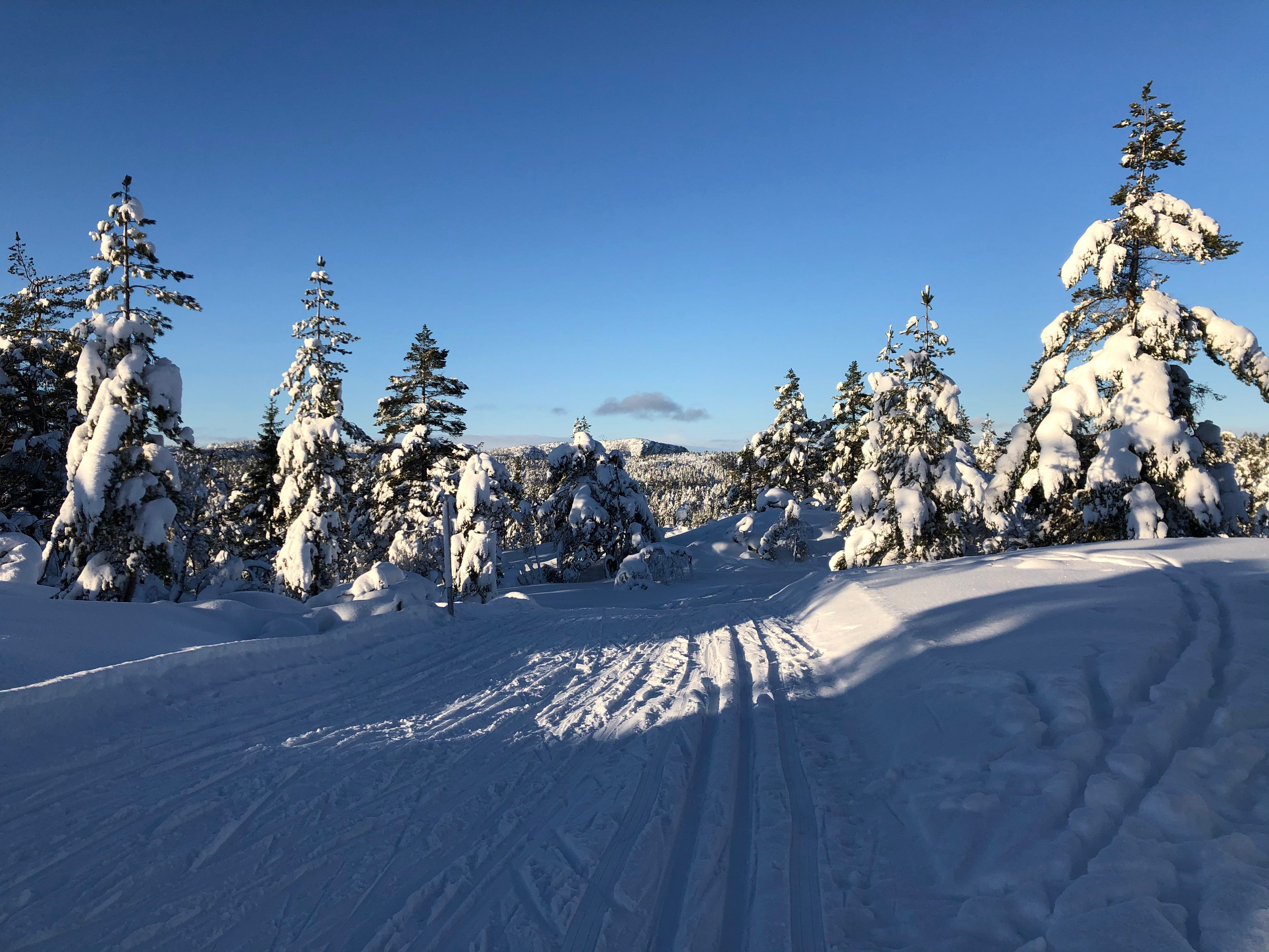 Pa° vei til Høna fra Gautestad