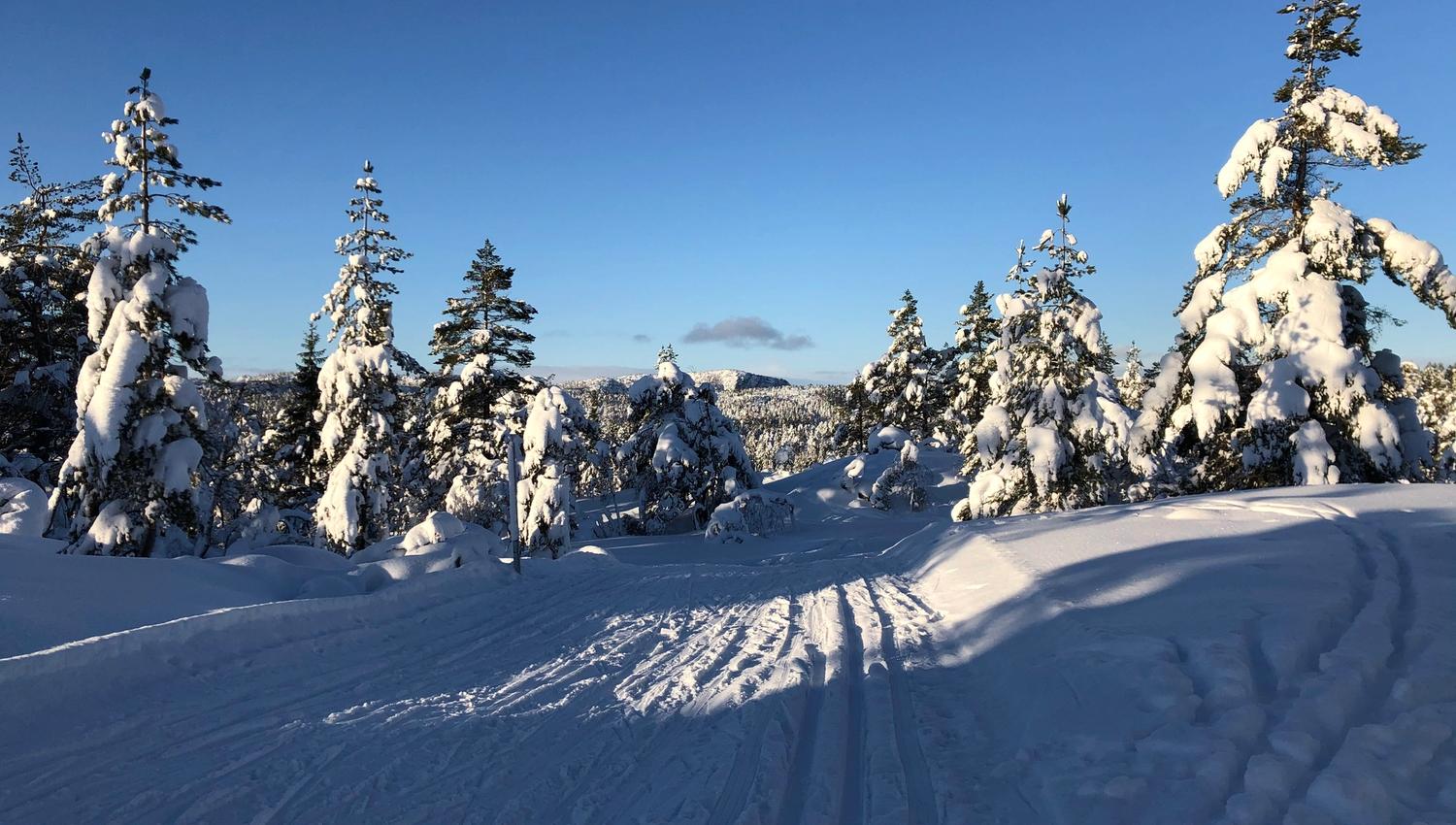 Pa° vei til Høna fra Gautestad