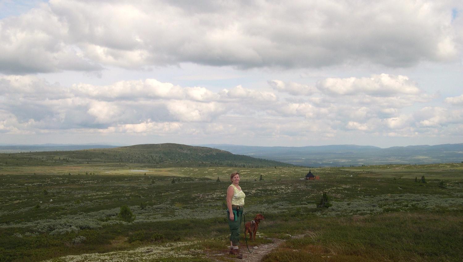 Veslefjell, Golsfjellet, Gol