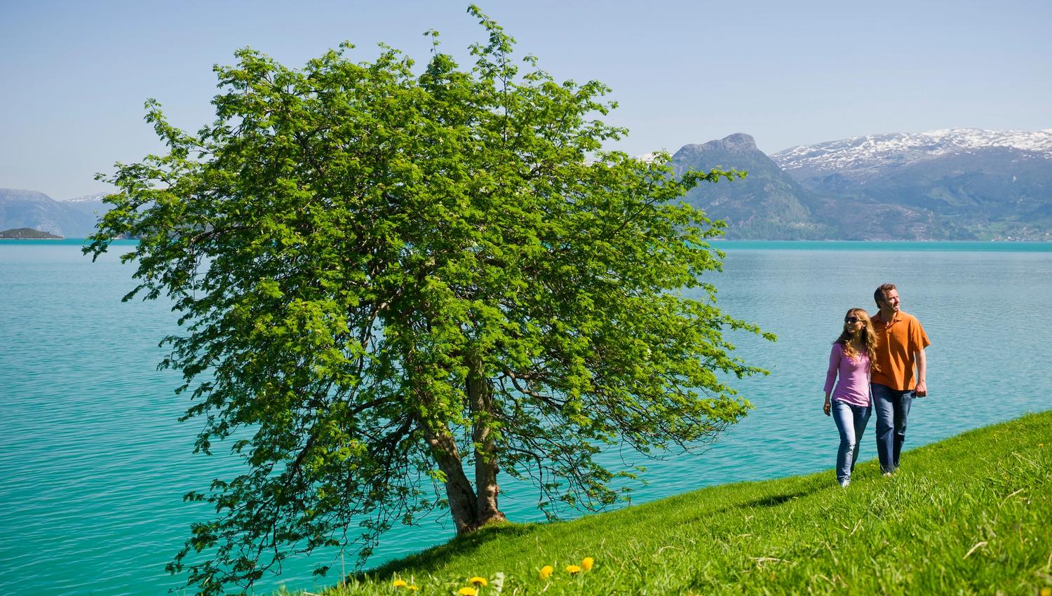 Couple walking by the Hardangerfjord near Oddland Camping on a sunny day.
