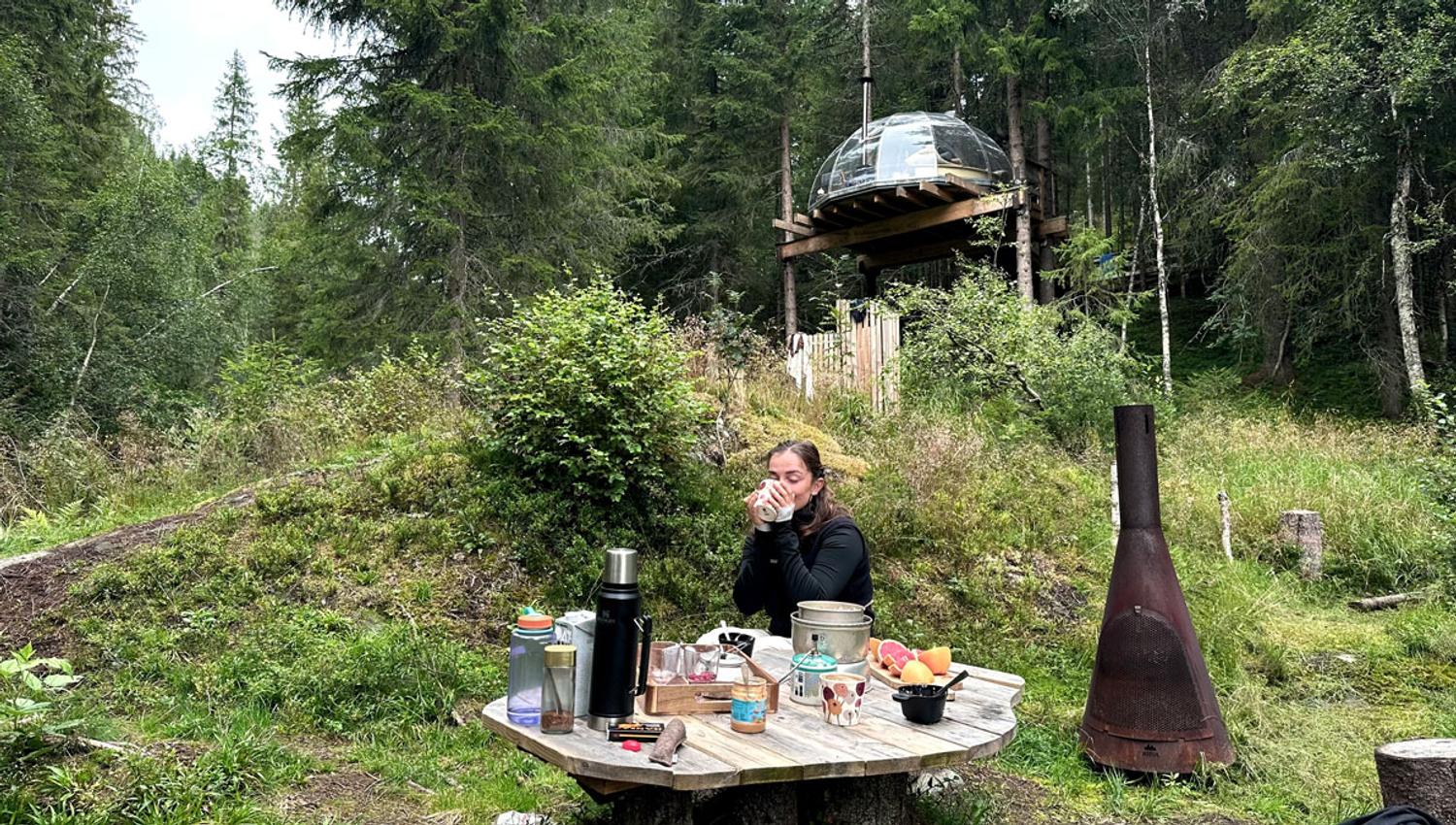 Tretoppiglo ved Lårdalselva i Dalen