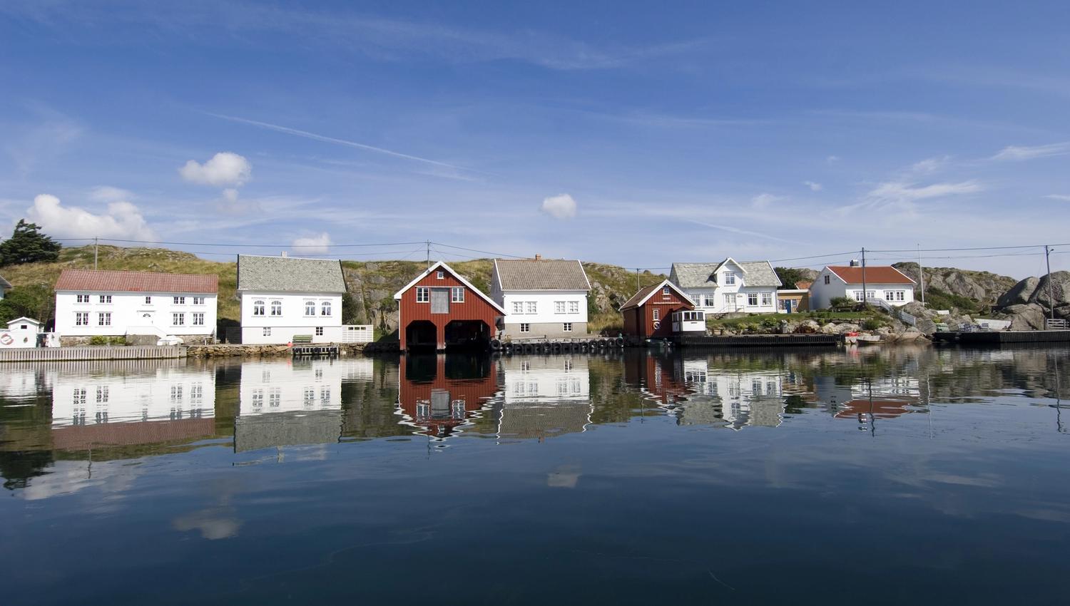 Sælør
