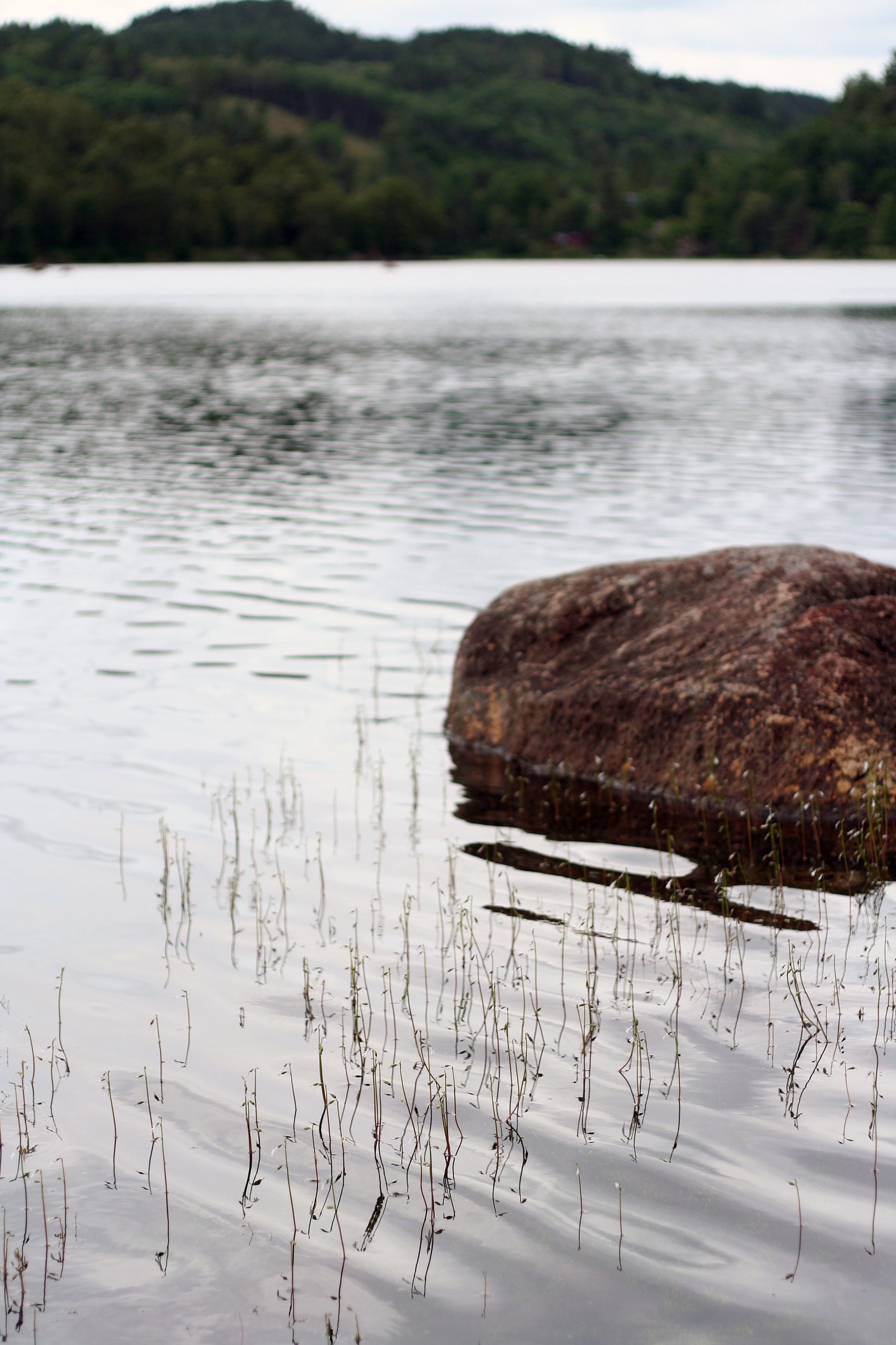kleivvannet