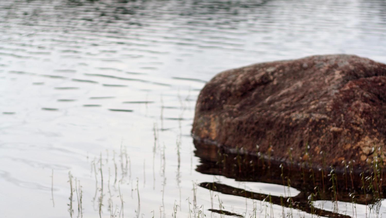 kleivvannet