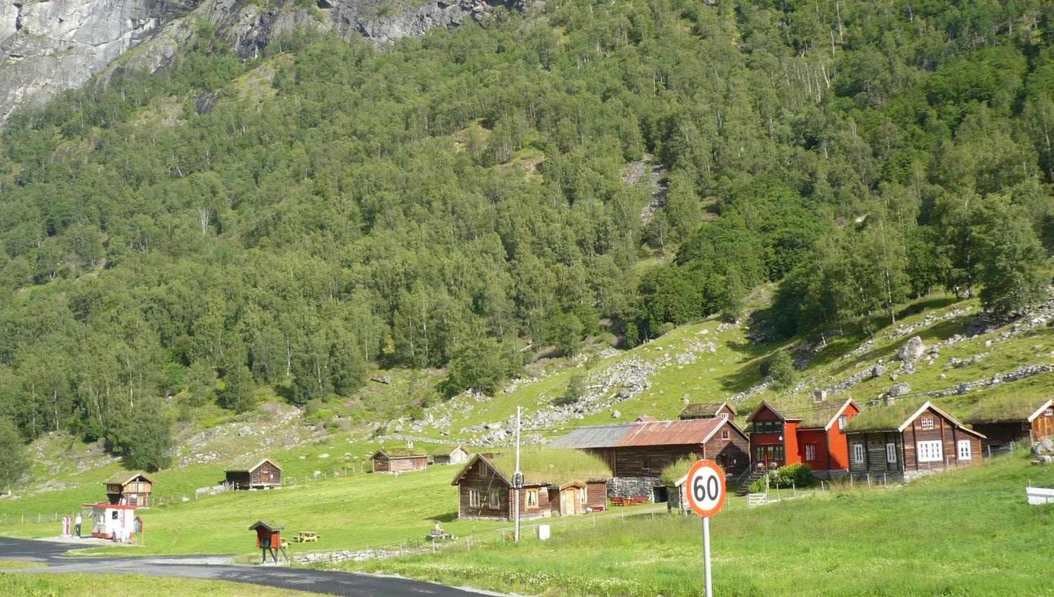 HI Borlaug Lærdal