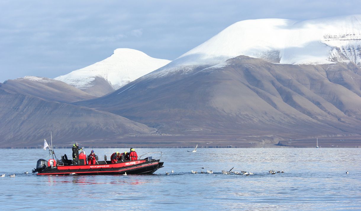 En RIB båt med gjester og guide om bord på en åpen fjord med sjøfugler i vannet rundt båten, og høye fjell med snødekte topper i bakgrunnen