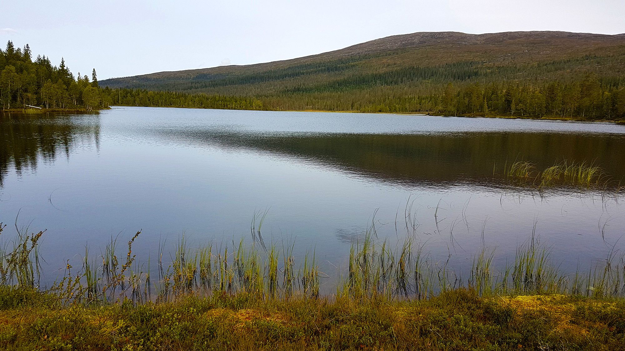 From the trail between Storsjøen and Andorsjøhytta cabin
