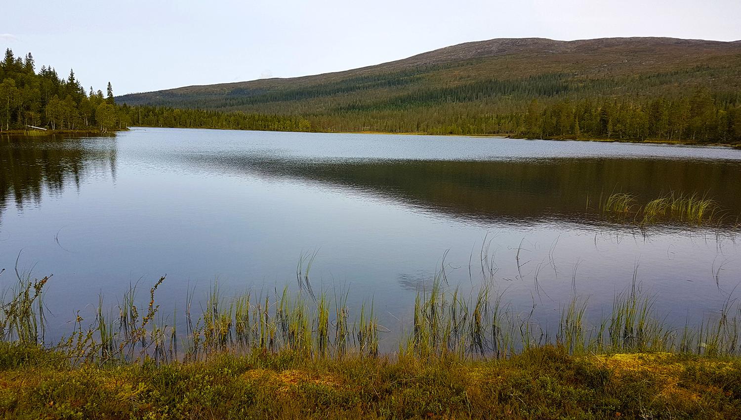 From the trail between Storsjøen and Andorsjøhytta cabin
