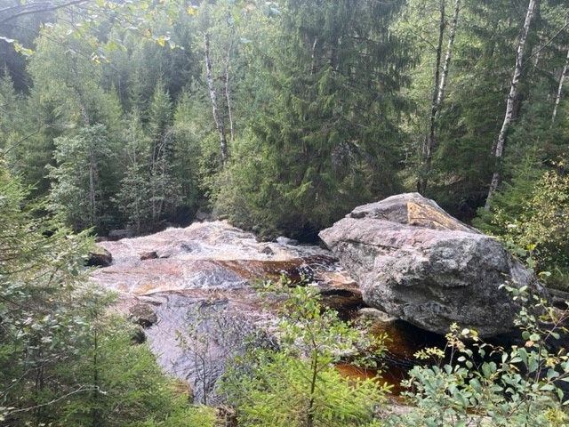 Stor stein i elvestryk