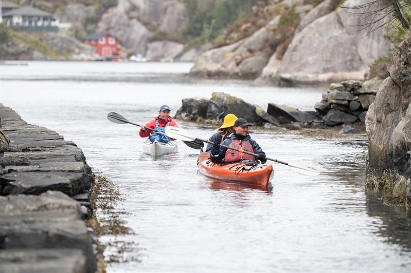 Guided kayak trip