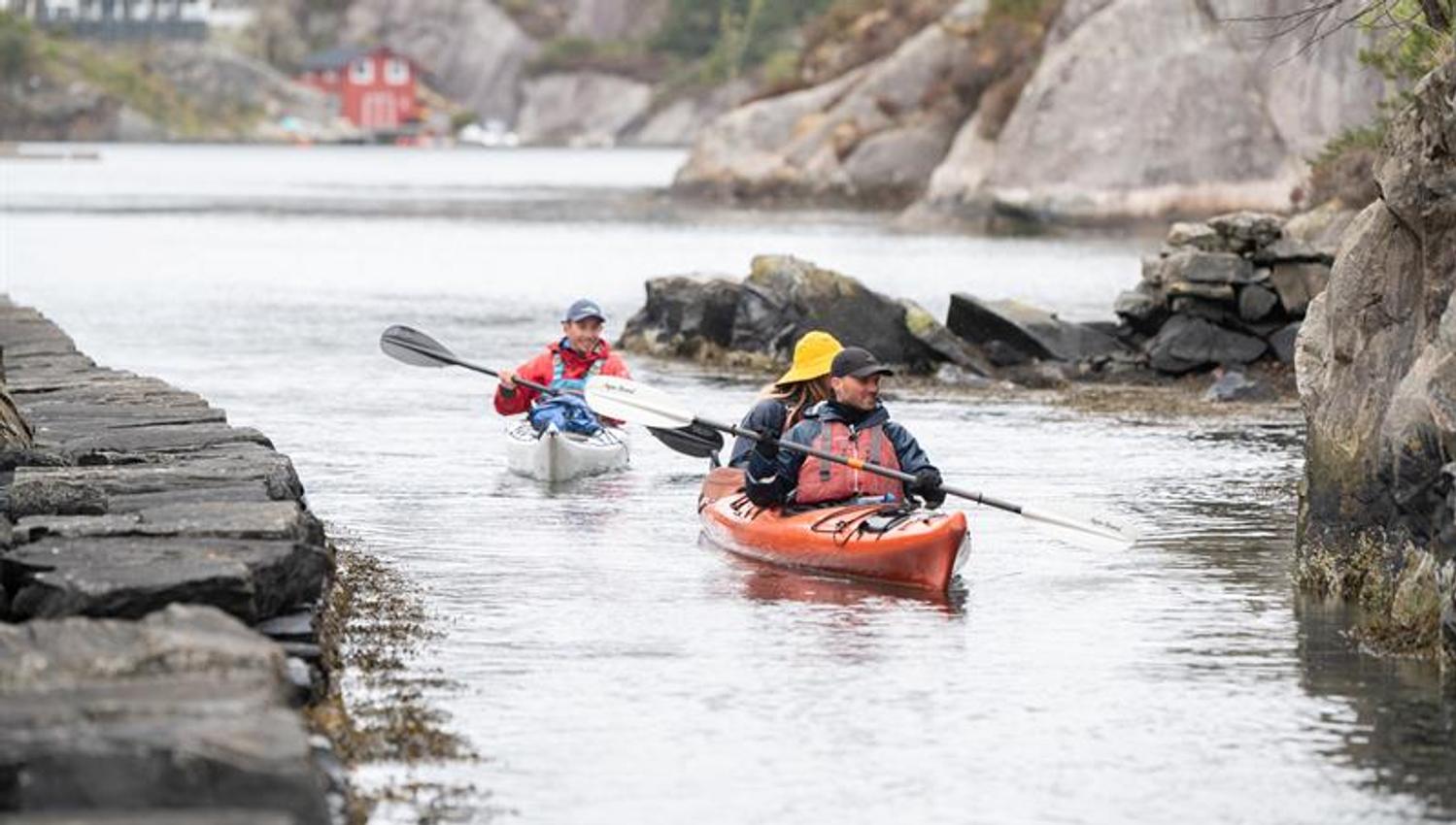Guided kayak trip
