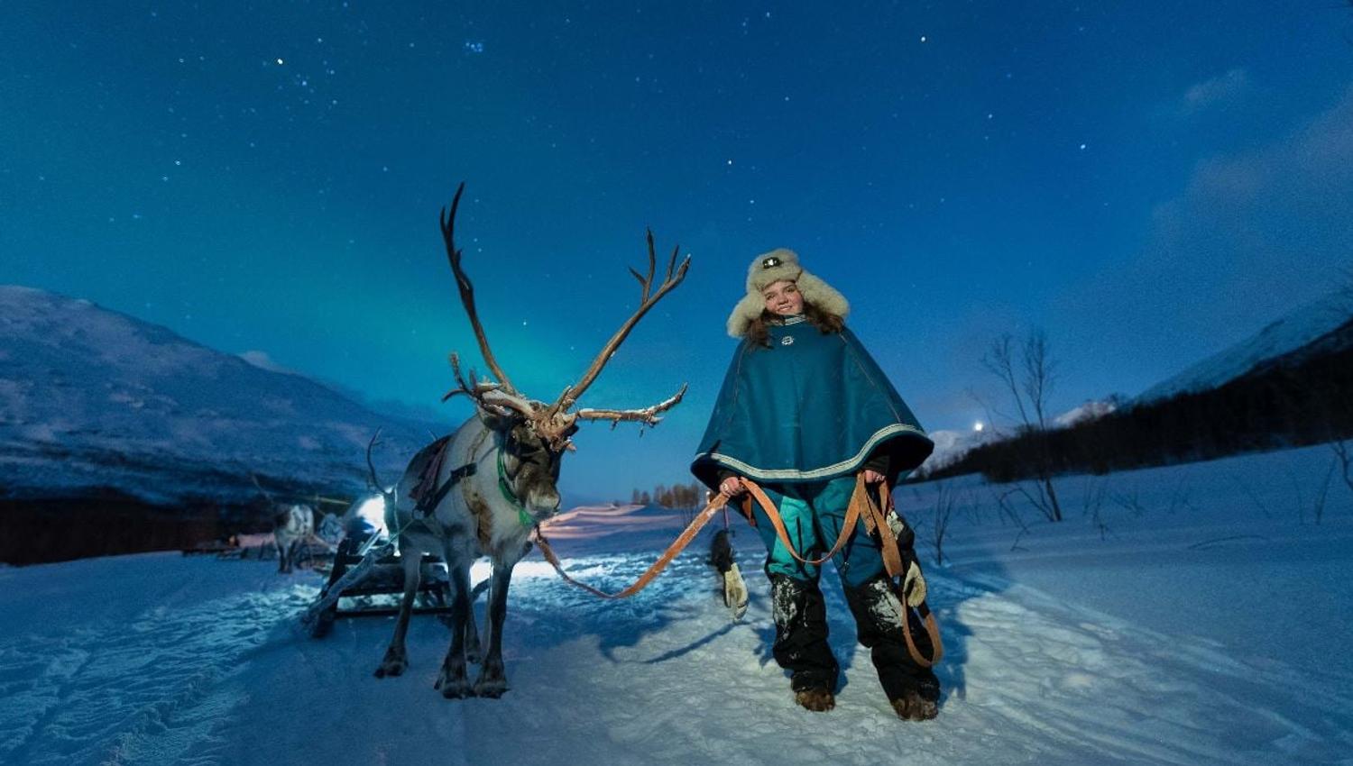 A guest holding a reindeer on a lead with the Northern Lights above