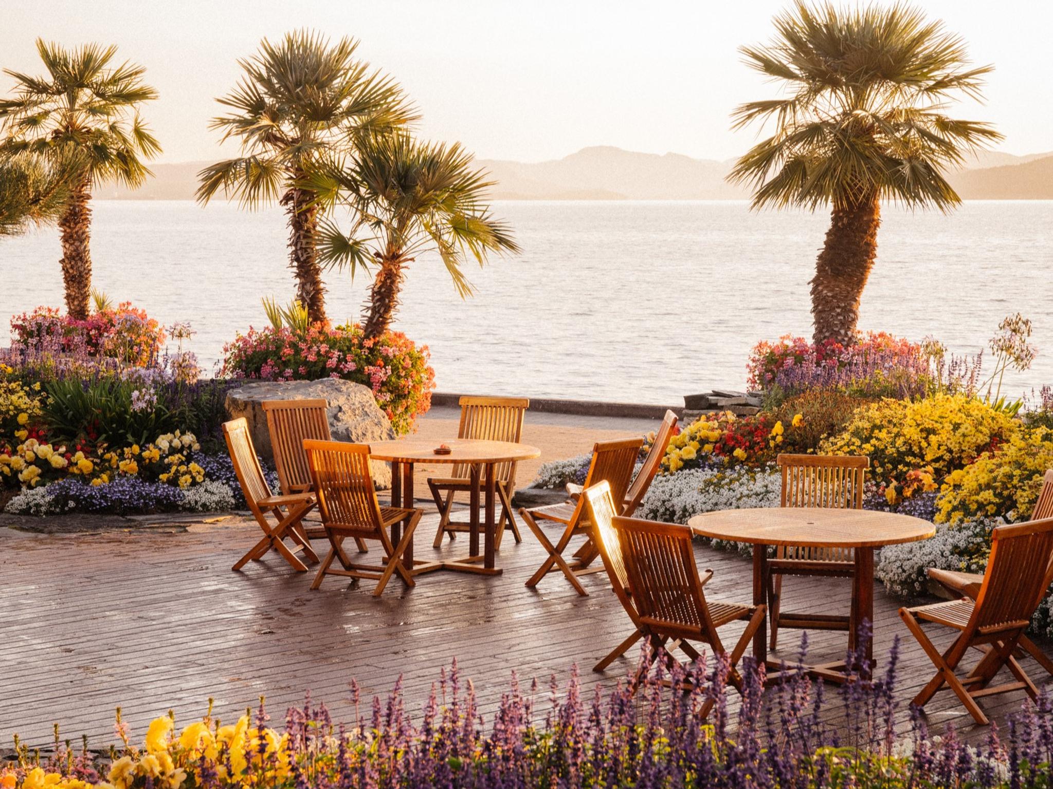 Have dinner among palm trees at Flor & Fjære