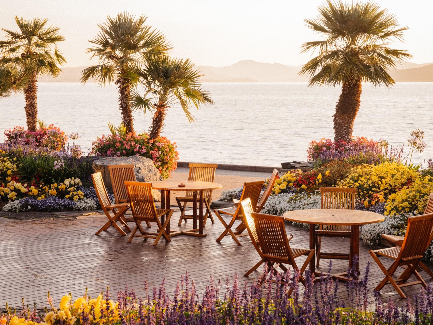 Have dinner among palm trees at Flor & Fjære