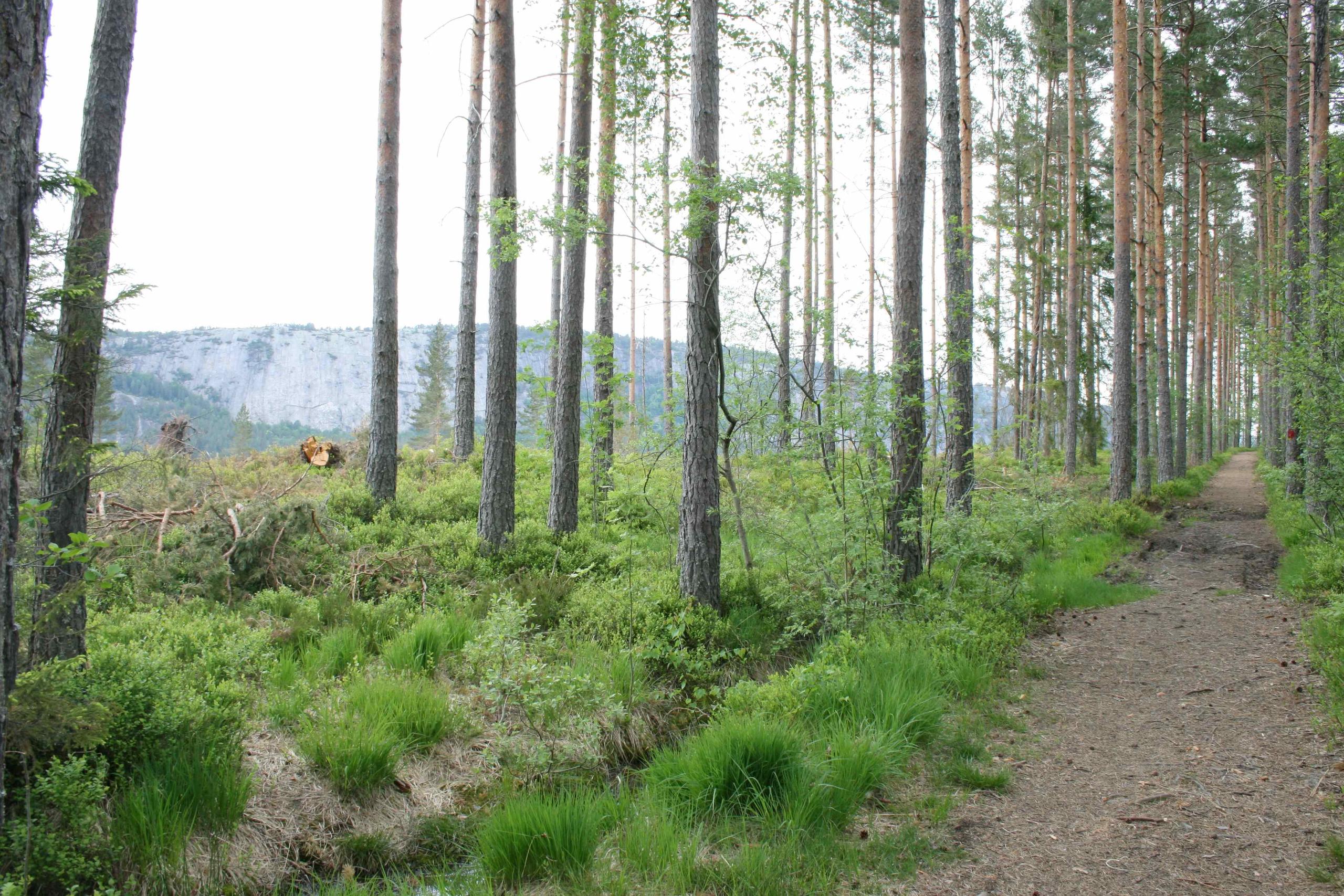 Kjærlighetsstien, start tur til Bjønnehiet, foto Åmli turistforum k