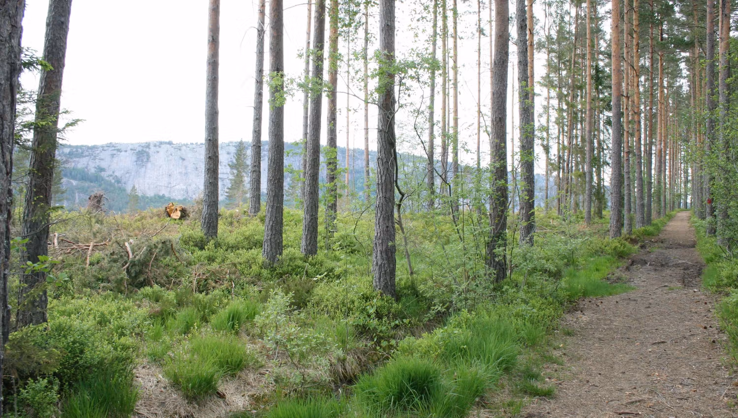 Kjærlighetsstien, start tur til Bjønnehiet, foto Åmli turistforum k