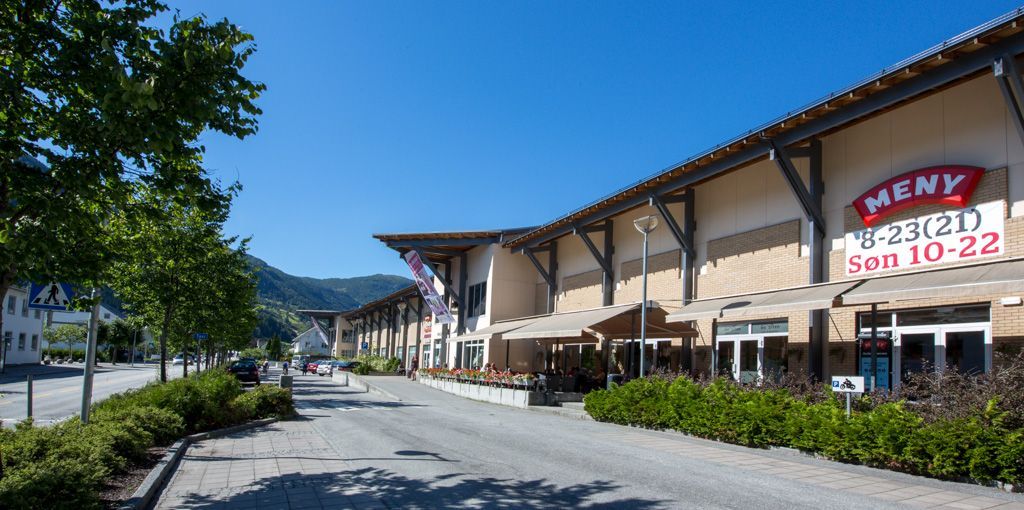 AMFI Sogningen