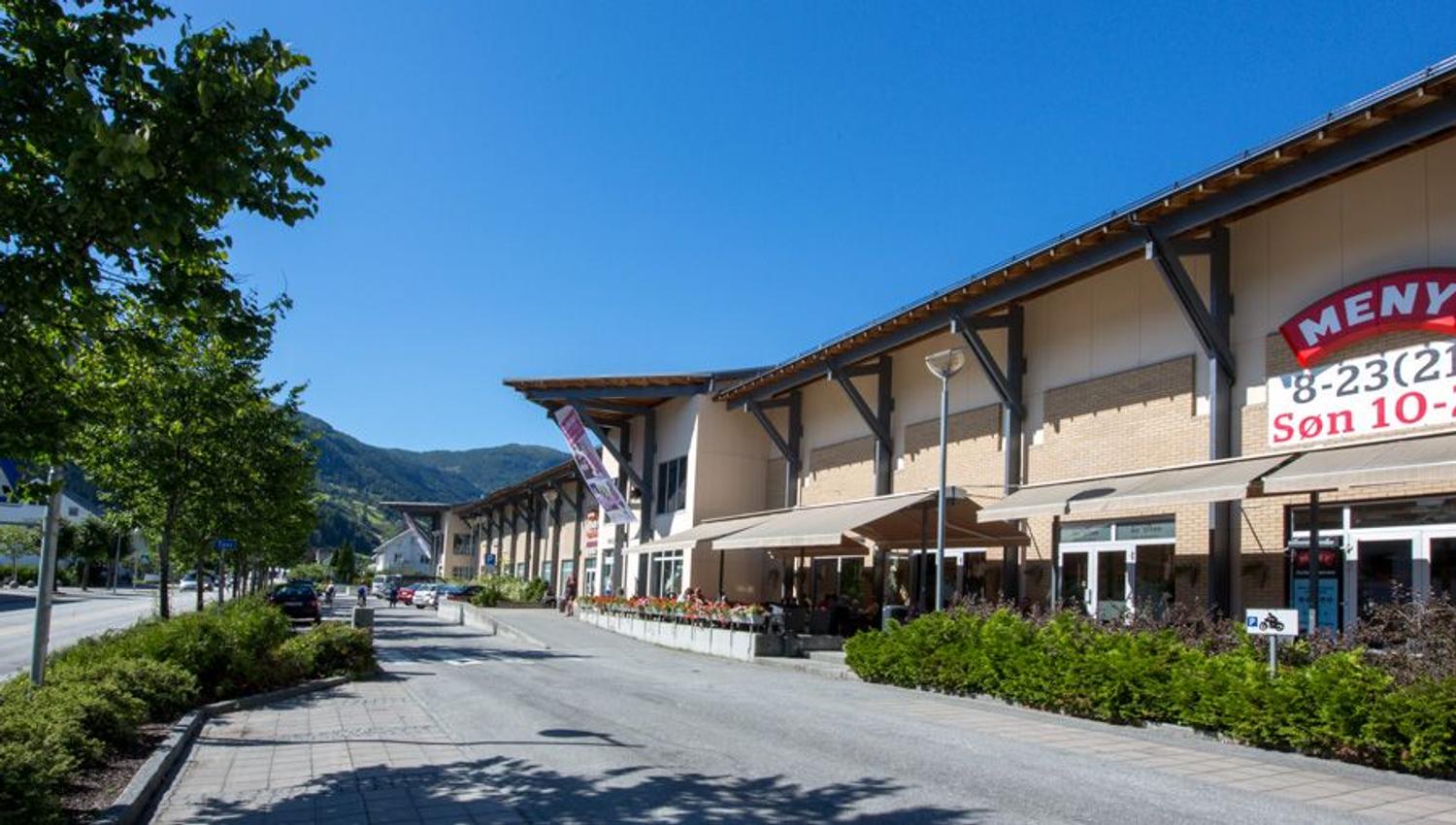 AMFI Sogningen