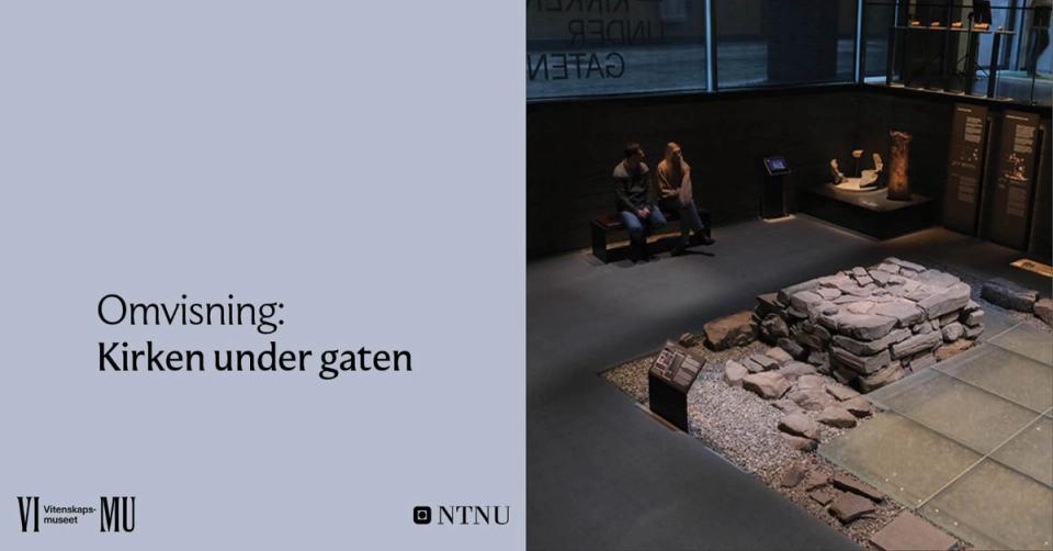 VIMU Guided Tour: The Church Under the Street