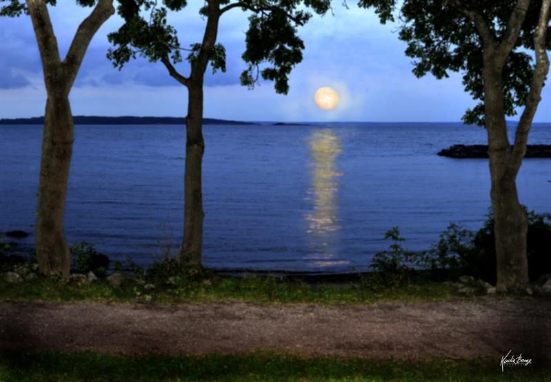 View of sunset by the water from Munch's park