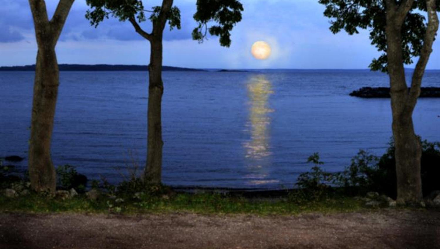 View of sunset by the water from Munch's park