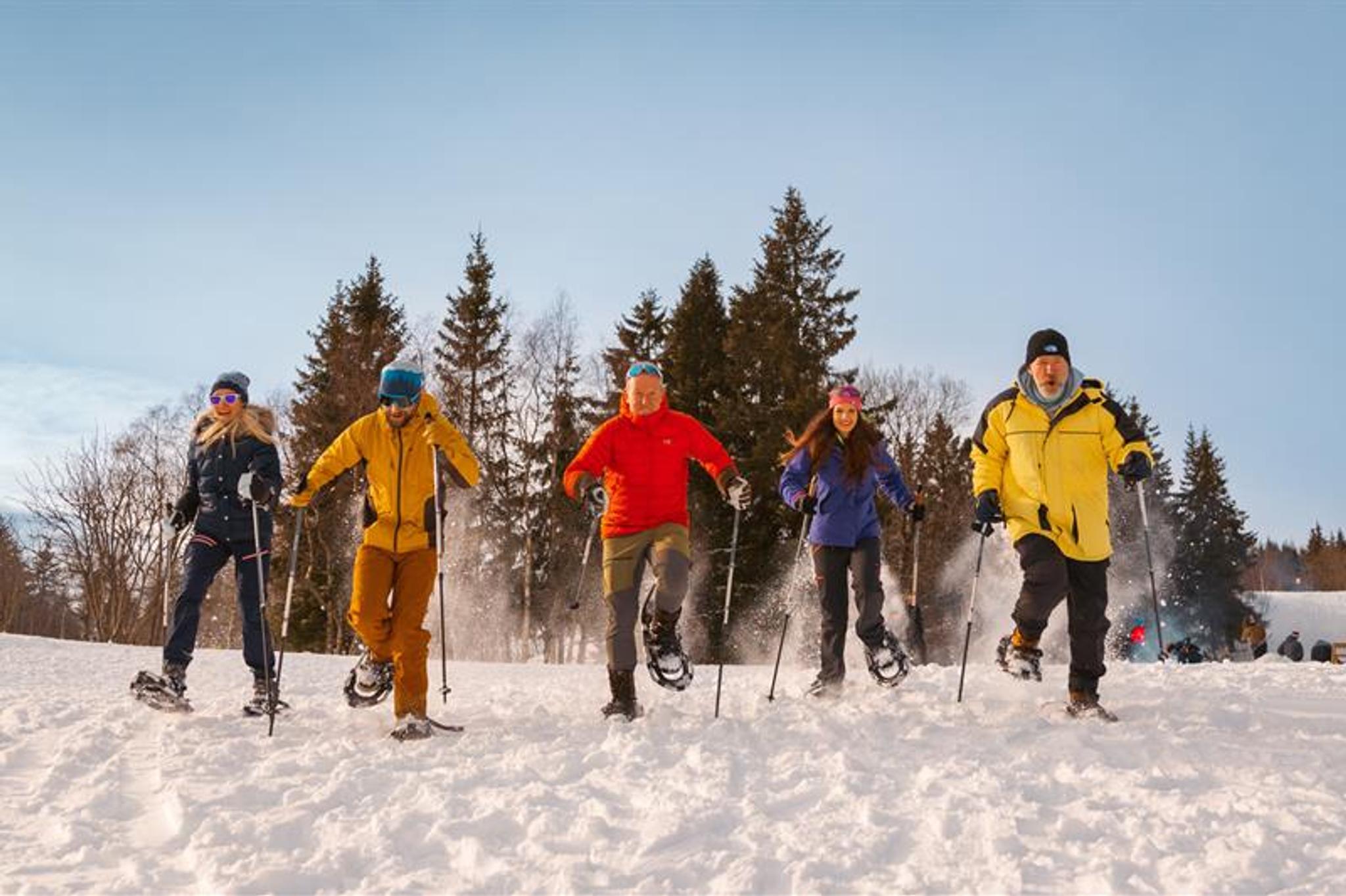 Five people snowshoeing through the snow