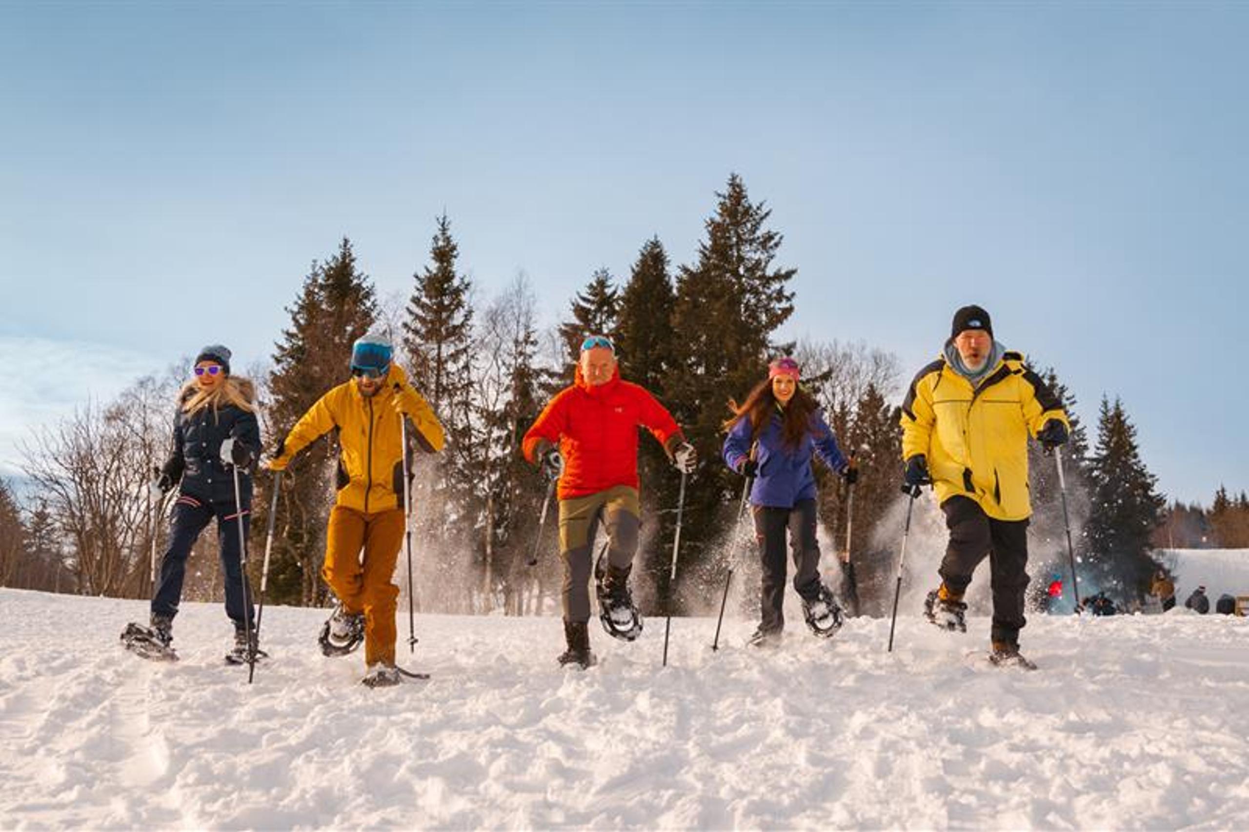 Five people snowshoeing through the snow