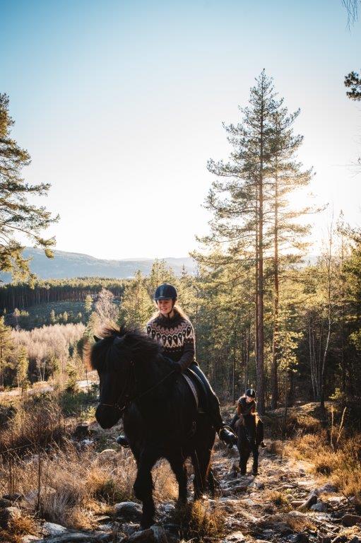 To hester som rir i den fine naturen