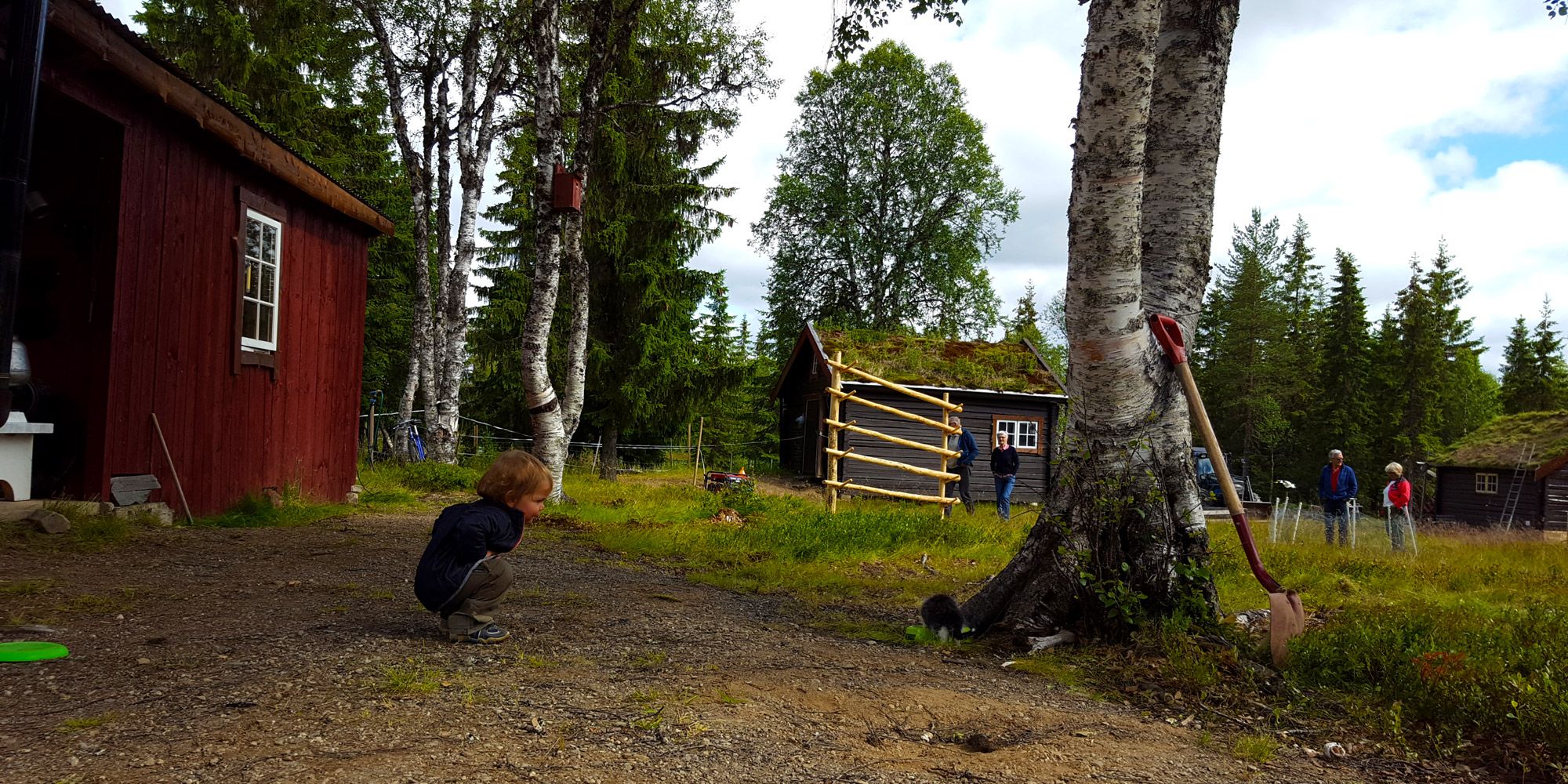 There are many animals on the farm for kids to admire, here it is the kitten being admired.