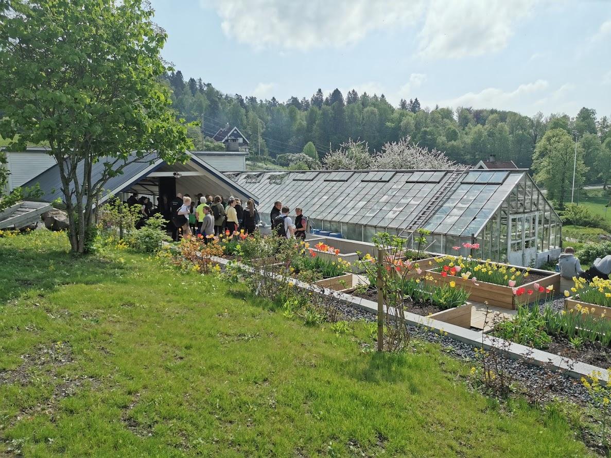 Green houses with flowers and people