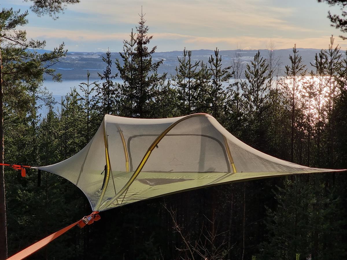 Svevetelt er hengt opp mellom trærne. Mjøsa i bakgrunn