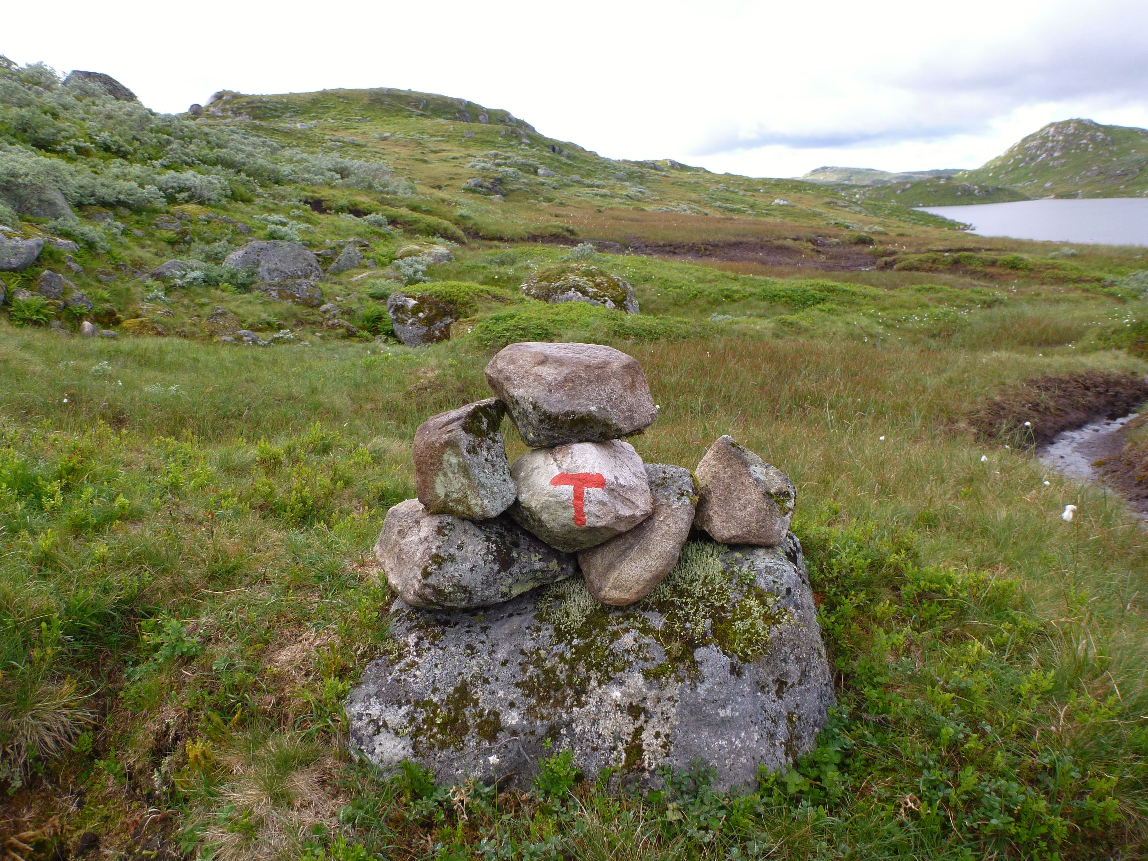 Setesdalsheiene Merked løyper Rødmalt T og grønn bakgrunn