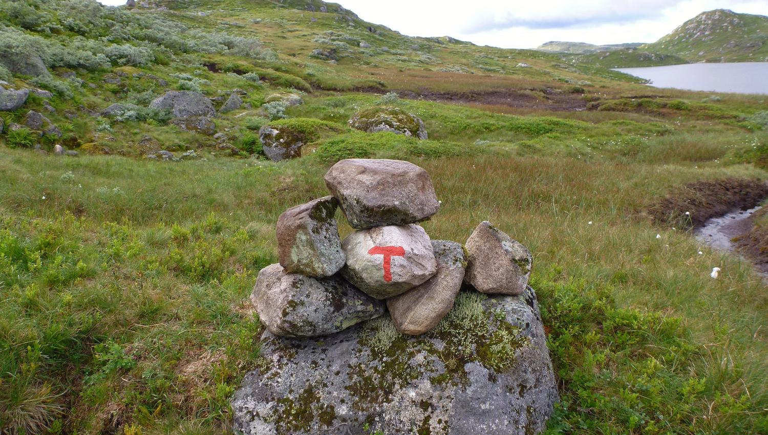 Setesdalsheiene Merked løyper Rødmalt T og grønn bakgrunn