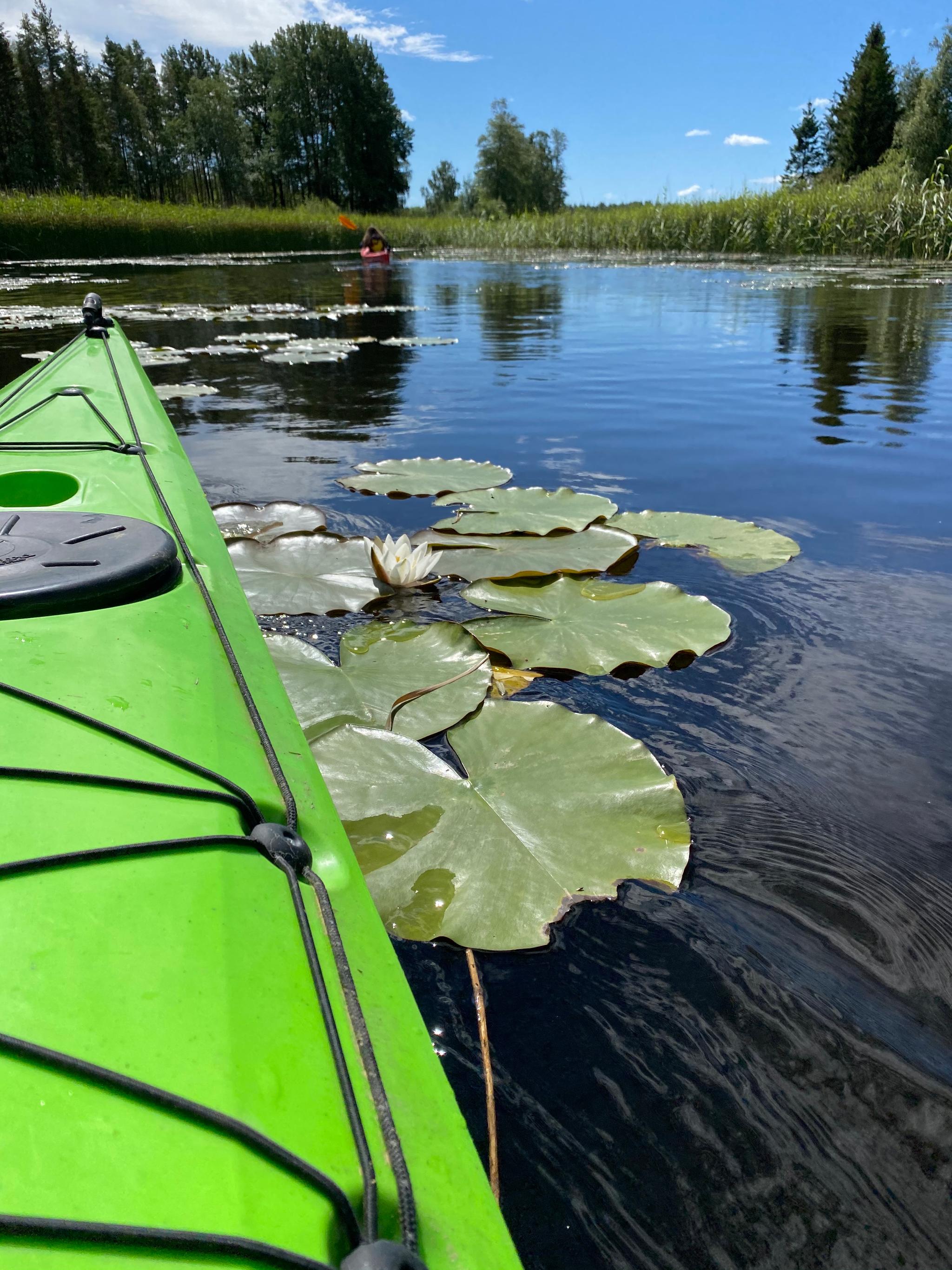 Kanoutleie på Vestre Kjærnes gård