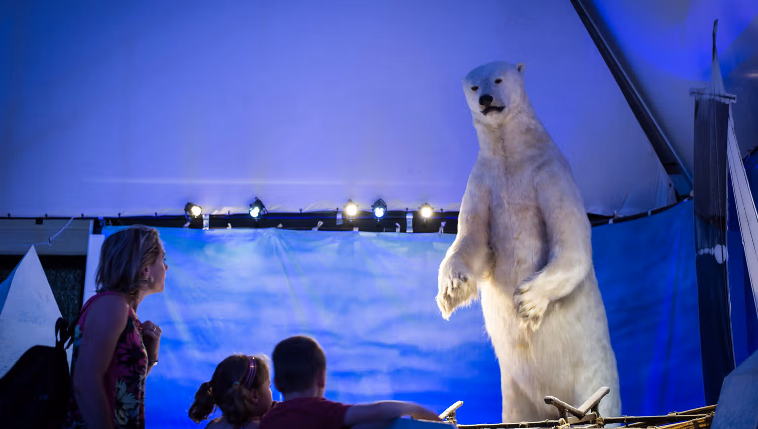 Polar bear at the museum
