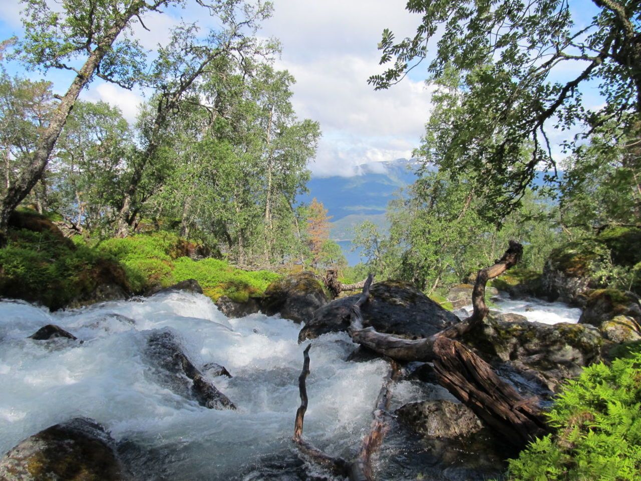 Stampelva kjem ned frå Daurmålsdalen