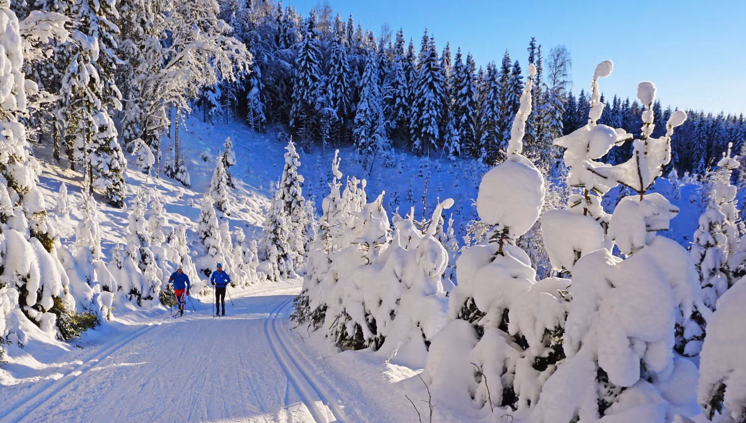 Good skiing conditions.