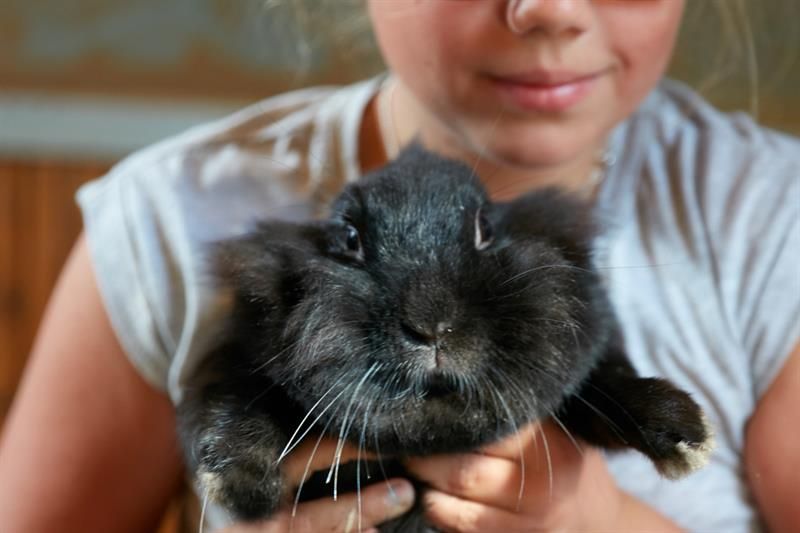 girl with rabbit. Bygdø Kongsgård. Photo
