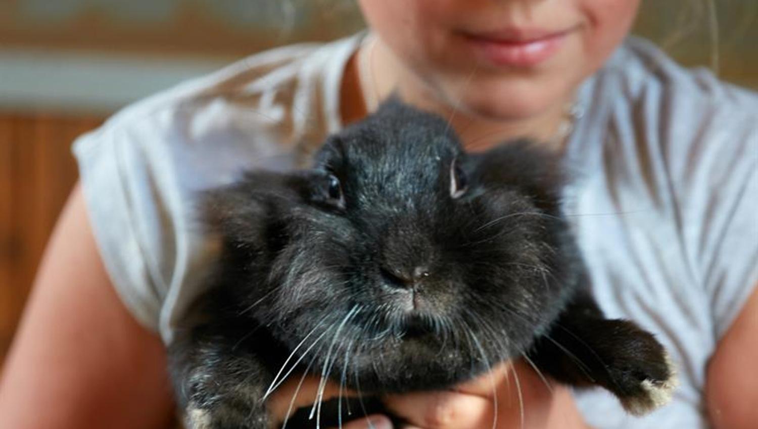 girl with rabbit. Bygdø Kongsgård. Photo