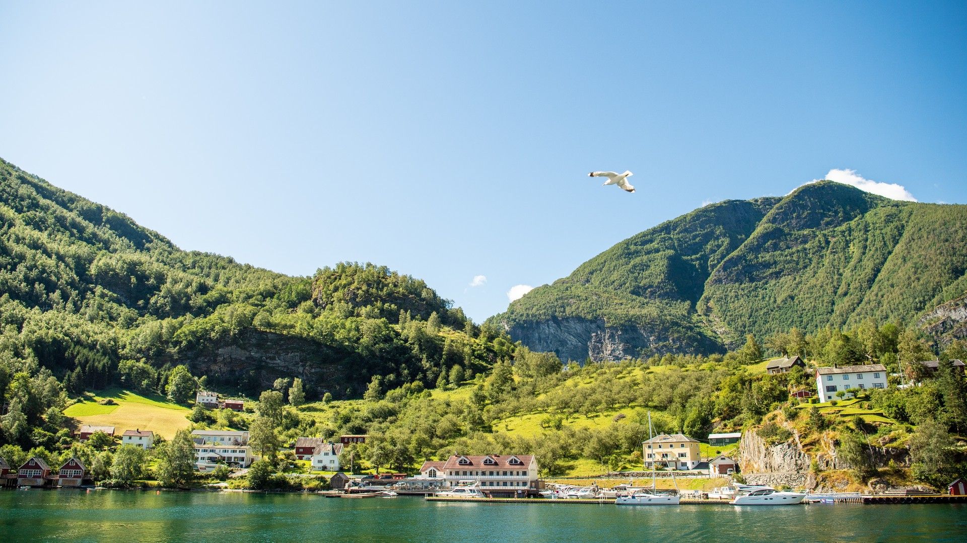 Flåm Marina