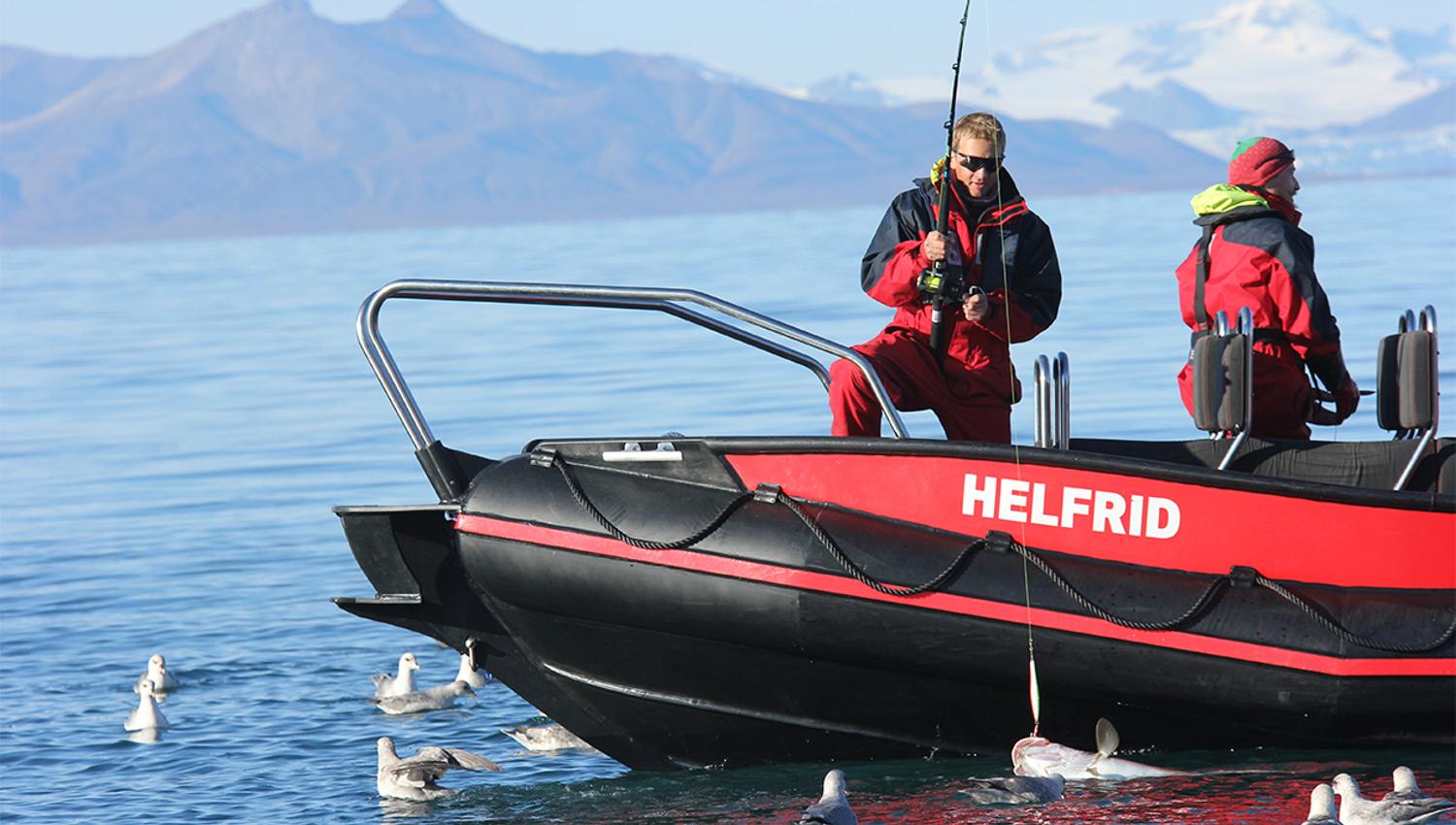 To personer ombord i en RIB-båt hvor den ene holder en fiskestang med en fisk på kroken i vannoverflaten i forgrunnen, omringet av svømmende sjøfugler