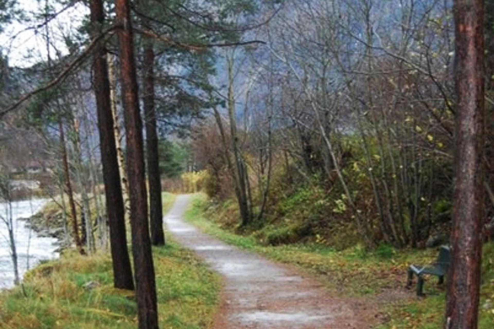 Bedringens veg (Road to recovery) in Valldal