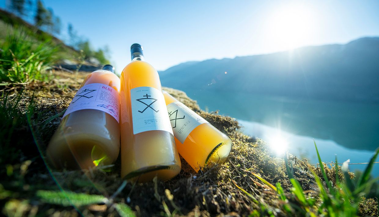 alde cider 