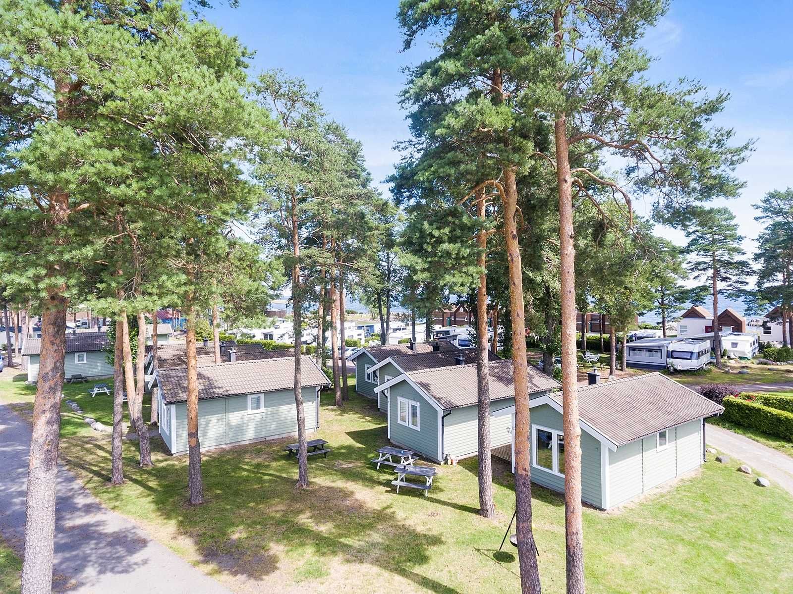 Cottages among trees