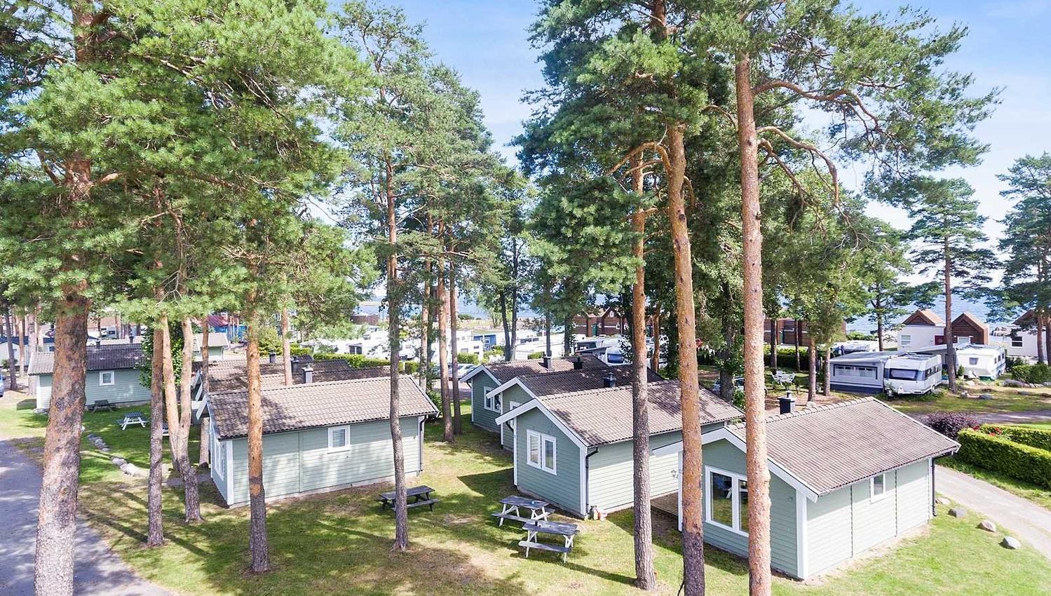 Cottages among trees