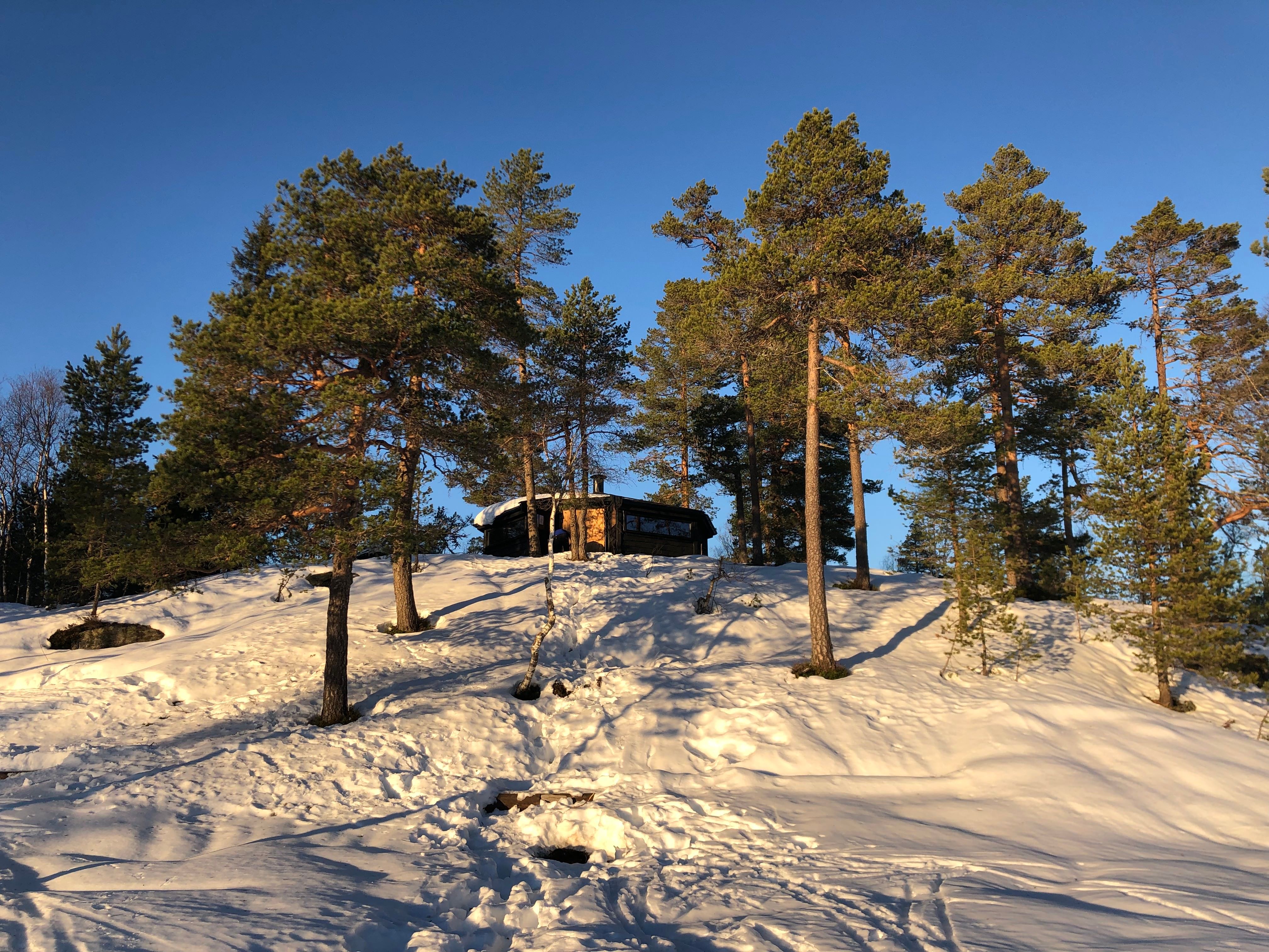 Lavvoen pa° Høga°s