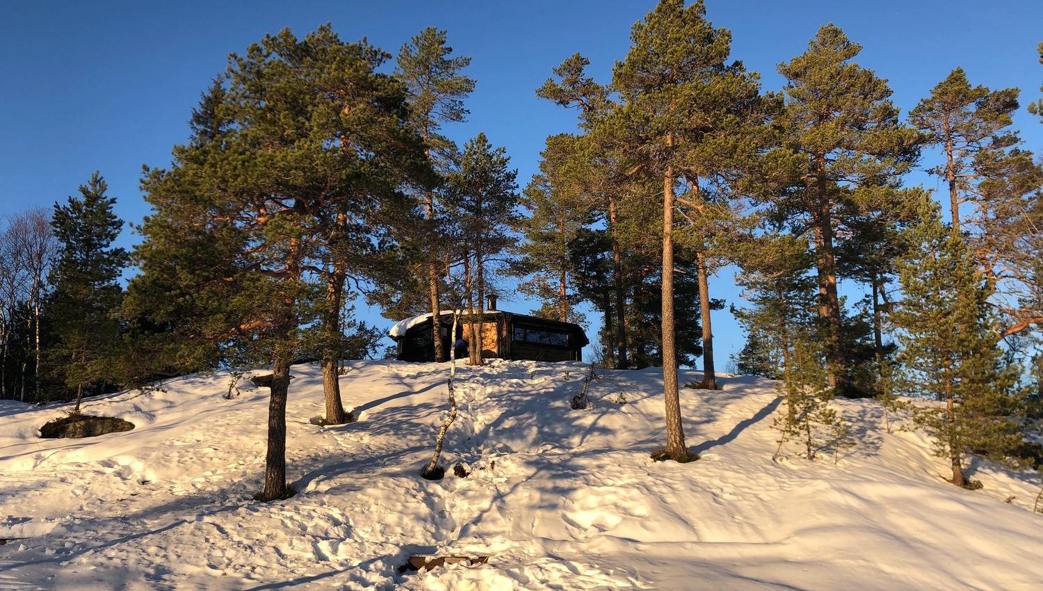 Lavvoen pa° Høga°s