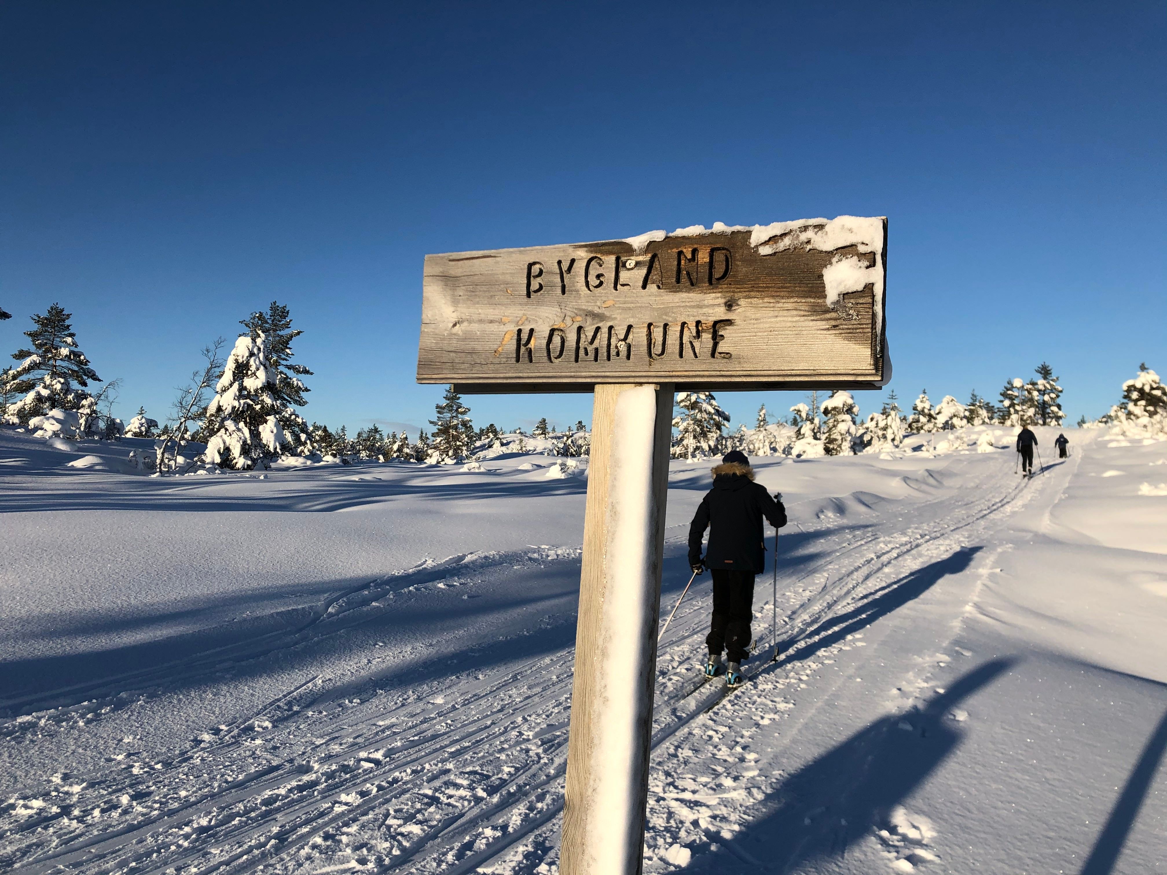 Pa° vei til Høna 640 m.o.h Gautestad